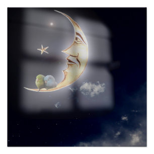 Poster Bonne nuit et rêves doux Pacific Parrotlets Art