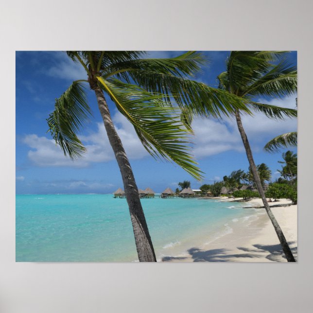 Poster Bora (Devant)