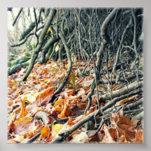 Poster Bord du fleuve Hafren