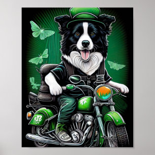 Poster Border Collie Chien Conduisant Vélo St. Patrick's 
