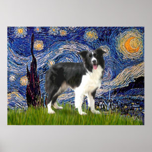 Poster Border Collie (Z) - Nuit étoilée