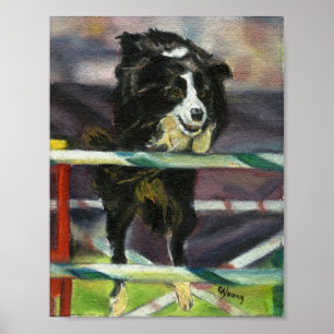 Poster Bordure Collie Agility Portrait de chien