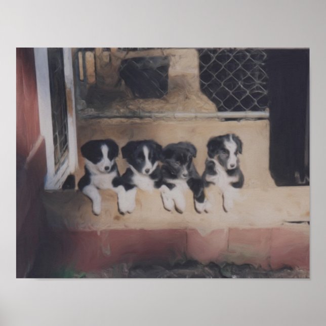 Poster Bordure Collie Puppy Litter Peinture à l'huile (Devant)