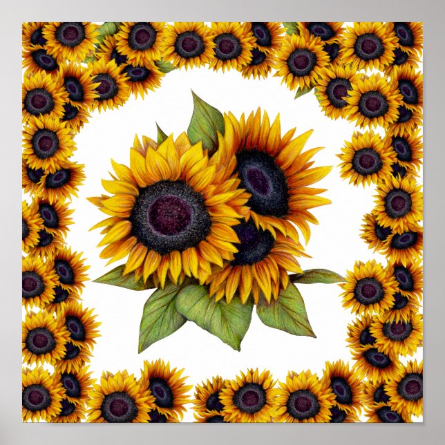 Poster Bordure de tournesols (Devant)