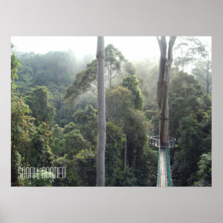 Poster Borneo forêt tropicale jungle Treetops Walkway Sab