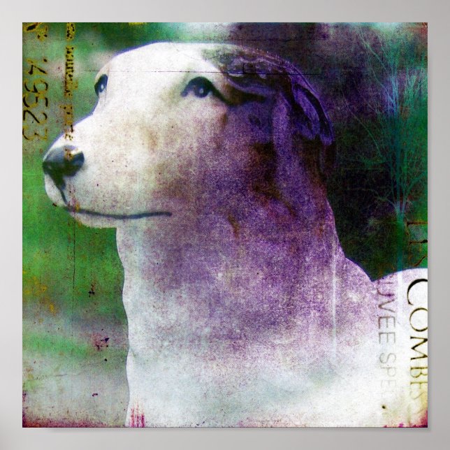 Poster Borzoi (Devant)