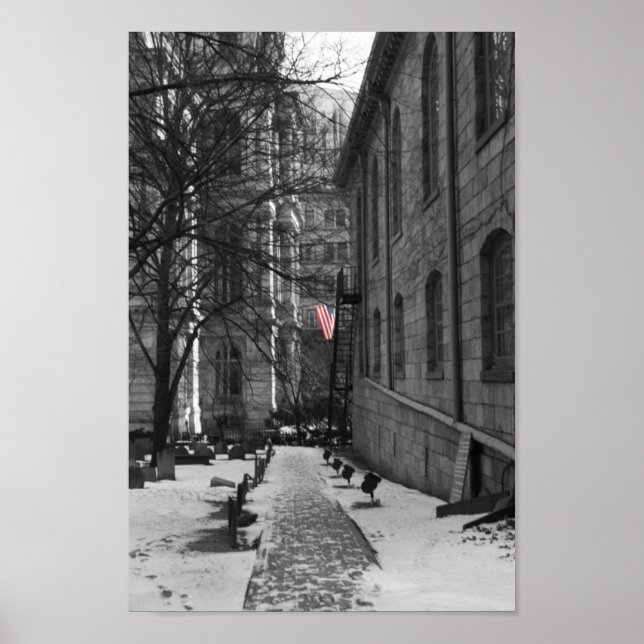 Poster Boston (Devant)