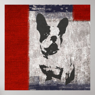 Poster Boston Terrier en noir et blanc avec frontière rou