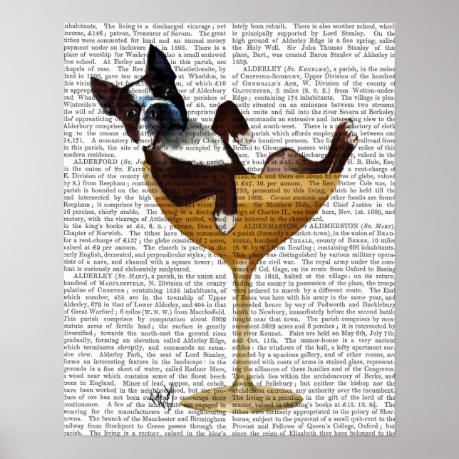 Poster Boston Terrier en verre à cocktail (Devant)