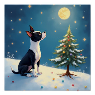 Poster Boston Terrier Midnight Star-Gazing Noël