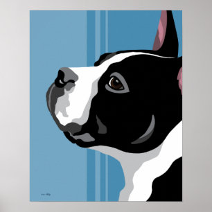 Poster Boston Terrier Prints