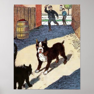 Poster Boston Terrier rencontre un chat