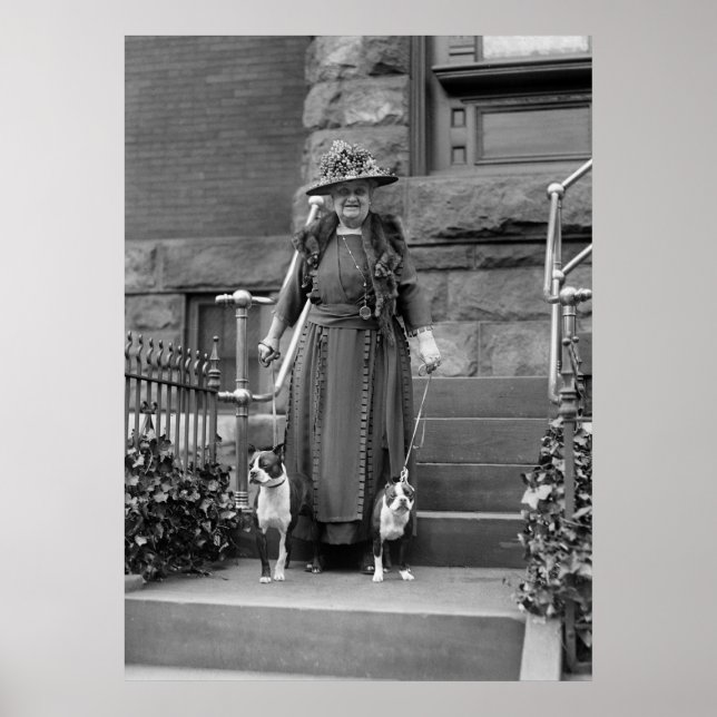 Poster Boston Terriers et mode des années 1920 (Devant)