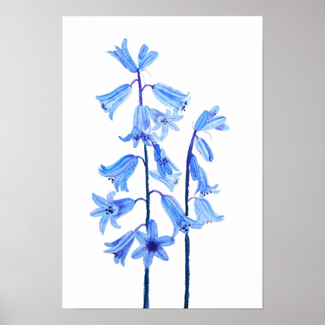 Poster Botanical bluebells flower watercolor (Devant)