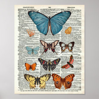 Poster Botanique de papillon vintage n° 2 sur la page du 
