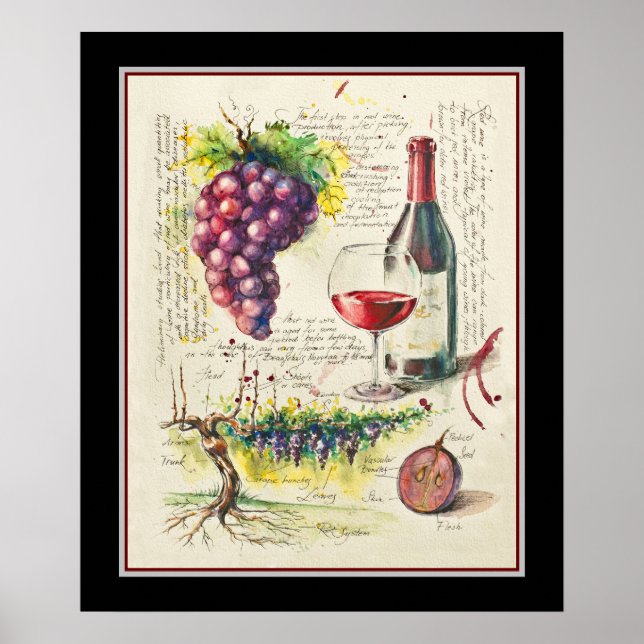 Poster botanique du vin rouge (Devant)