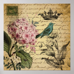 Poster botanique français d'oiseau d'hortensia de