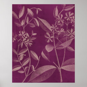 Poster Botanique moderne III