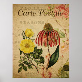 Poster botanique vintage - Rudbeckia
