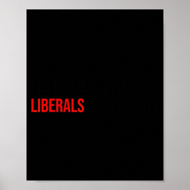 Poster (both Side) Don't Make Fun Of Liberals Without Me  (Devant)
