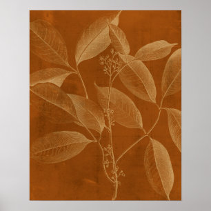 Poster Botnie VI moderne