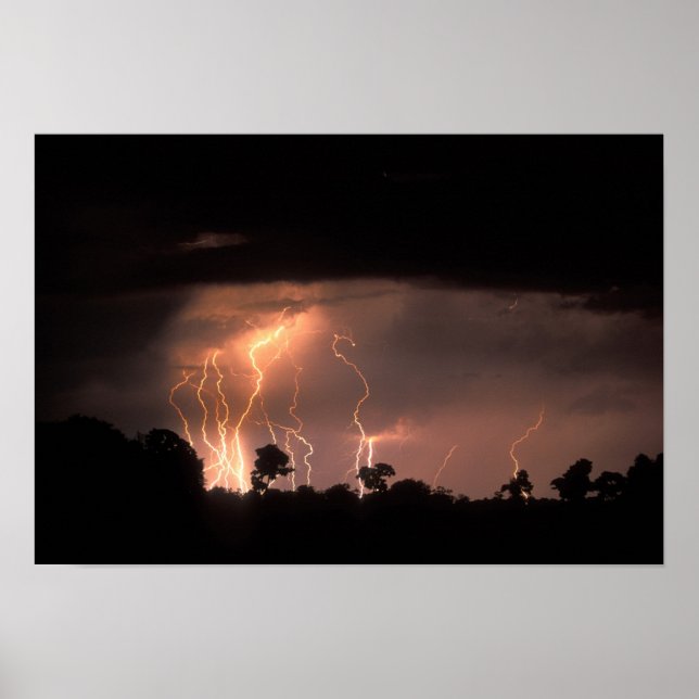 Poster Botswana, Moremi Game Reserve, Lightning Fills (Devant)