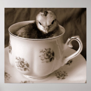 Poster Bottes dans une tasse de thé
