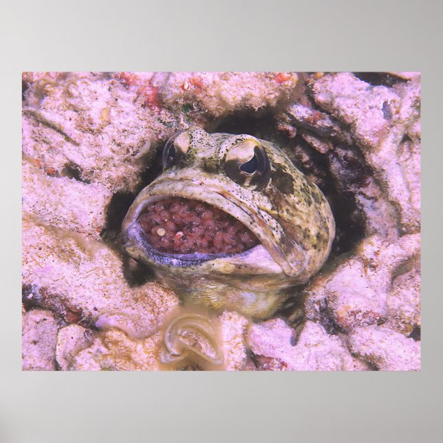 Poster Bouche (Devant)