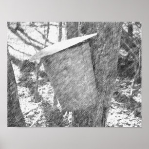 Poster Boucle de sève d'érable sur l'Arbre crayon noir