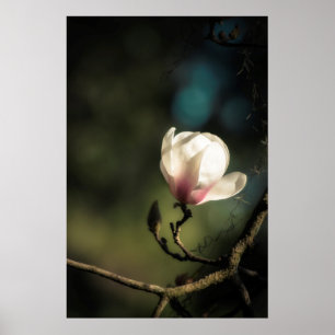 Poster Boucle magnolia verticale