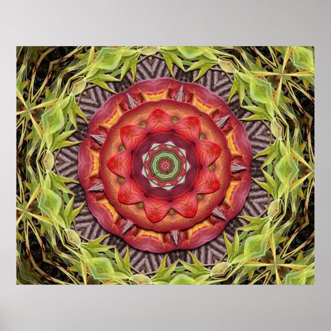 Poster Bouclier de la jungle (Devant)