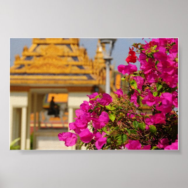 Poster Bougainvillea (Devant)