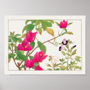 Poster Bougainvillea, Fleur Wishbone de Tanigami Konan