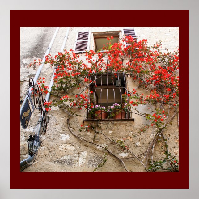 Poster Bougainvilliers à la fenêtre (Devant)