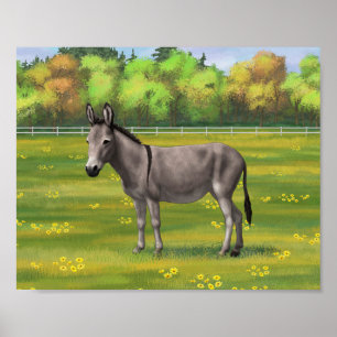Poster Bouillon Gris D'Âne Cute Dans Le Pâturage