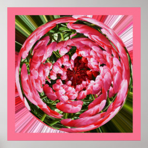 Poster Boule de tulipes art floral