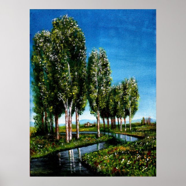 POSTER BOULEAUX EN TOSCANE (Devant)