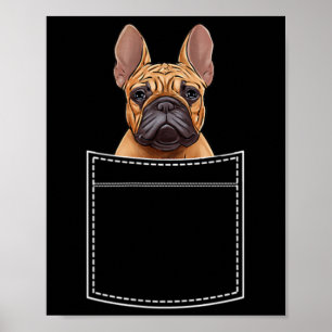 Poster Bouledogue dans la poche de poitrine Frenchie Pock