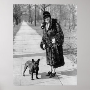 Poster Bouledogue français, les années 1920