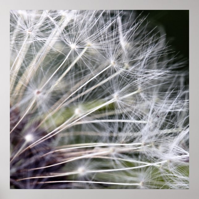 Poster Boume de pustère (Devant)