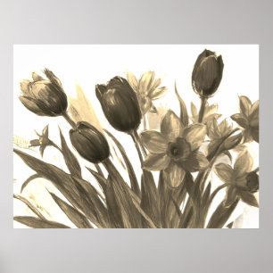 Poster Bouquet de fleurs noires et ivoire en fleurs sur l