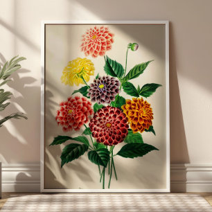 Poster Bouquet de fleurs vintage Illustration botanique