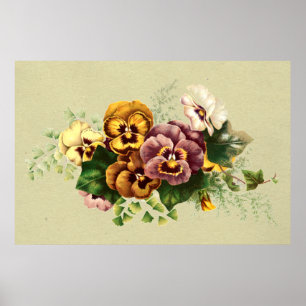 Poster Bouquet de pensées vintage
