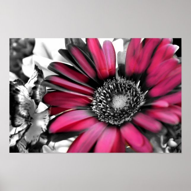 Poster Bouquet de printemps en noir et blanc (Devant)
