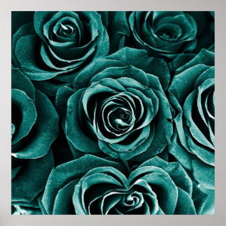 Poster Bouquet de roses en Turquoise