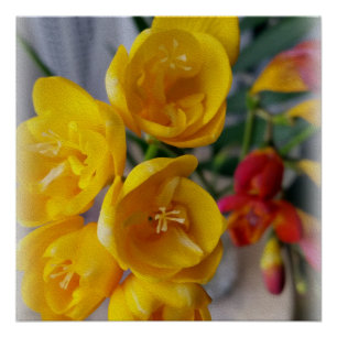 Poster bouquet freesias