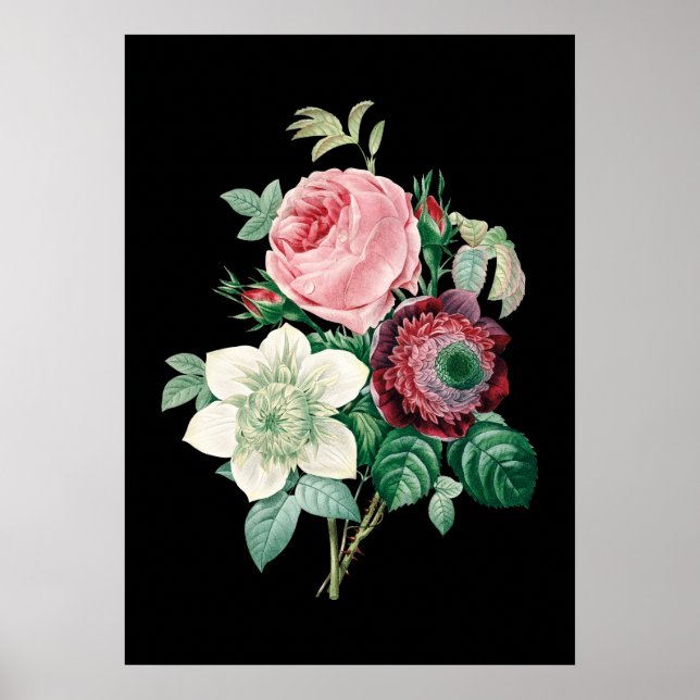 Poster Bouquet rose arrière - plan noir de Redoute imprim (Devant)
