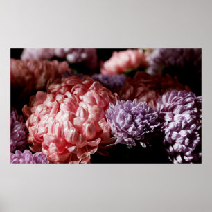 Poster Bouquet rose avec fleurs mauve d'aster dans la lum