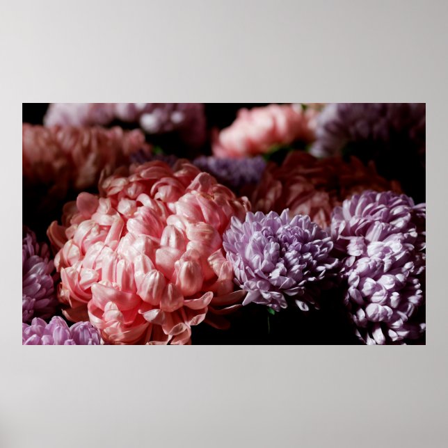 Poster Bouquet rose avec fleurs mauve d'aster dans la lum (Devant)
