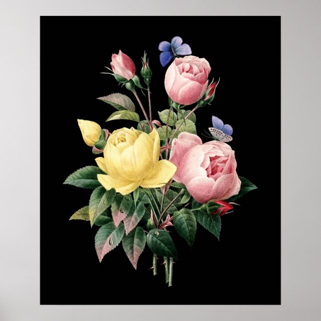 Poster Bouquet rose Redoute noir dramatique arrière - pla (Devant)